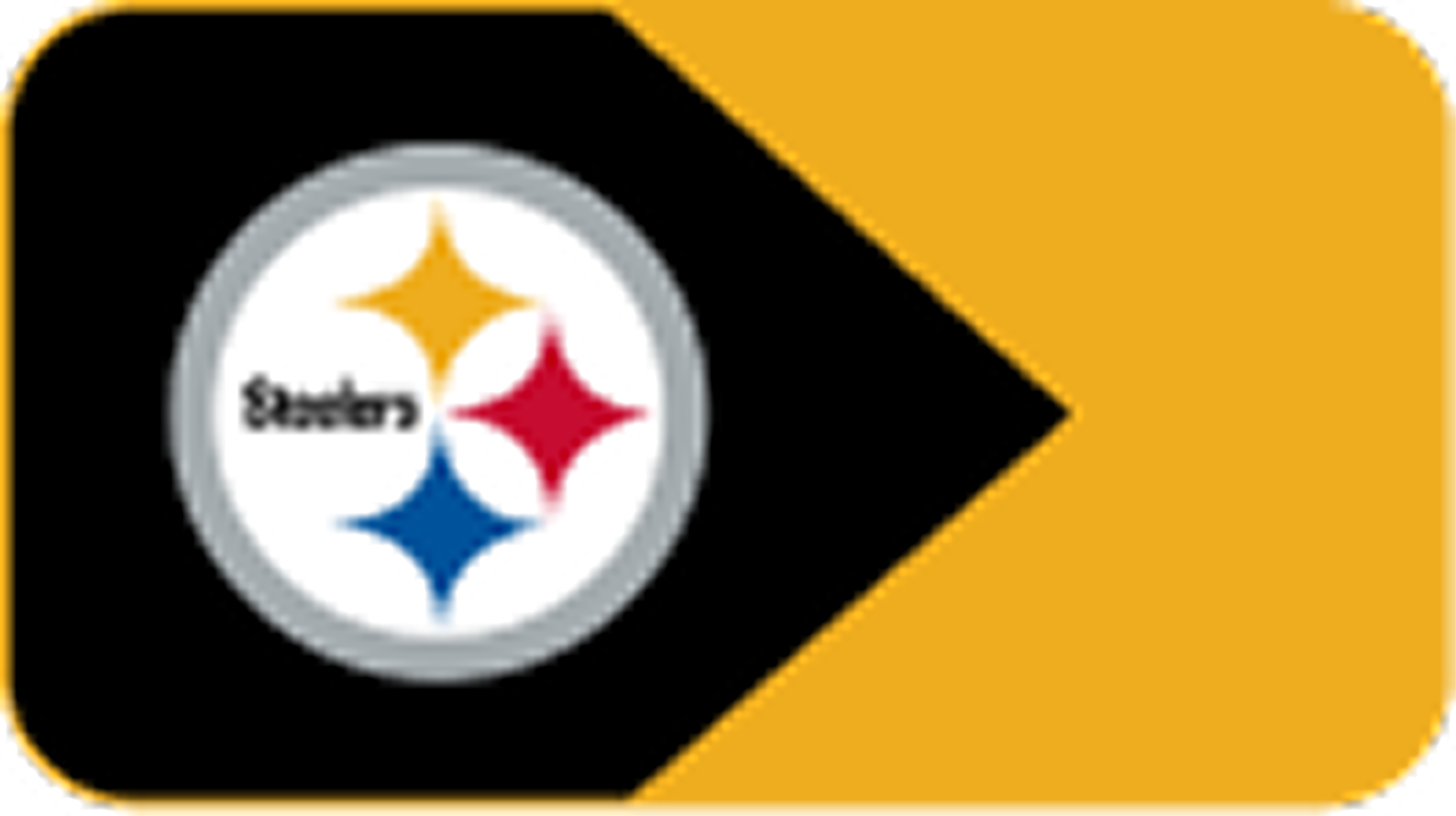 NFL team